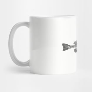 Fish skeleton. Mug